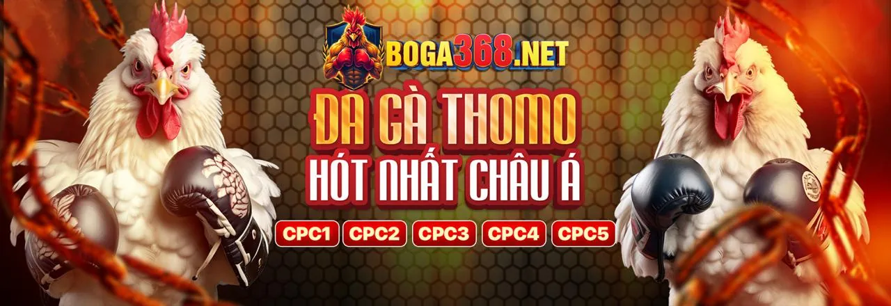 Đá Gà Trực Tuyến MB33